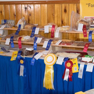 Exhibitors